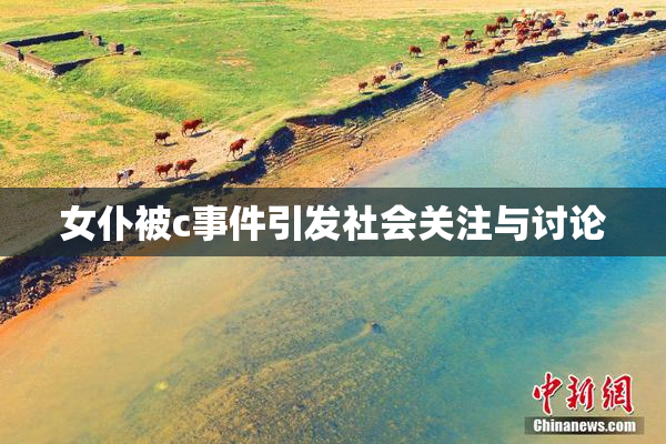 女仆被c事件引发社会关注与讨论