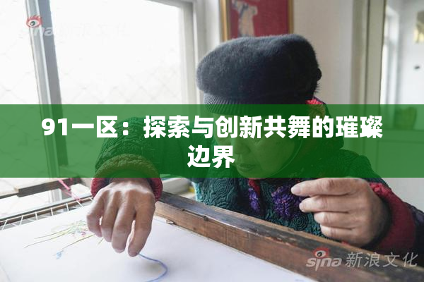 91一区：探索与创新共舞的璀璨边界