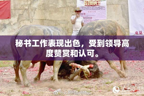 秘书工作表现出色，受到领导高度赞赏和认可。