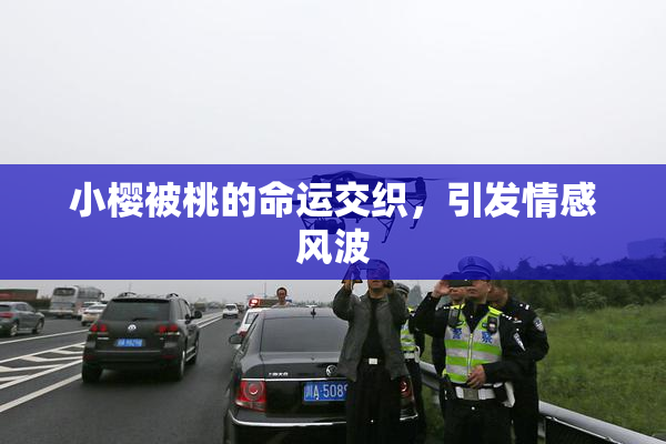 小樱被桃的命运交织，引发情感风波