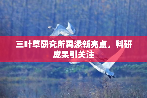 三叶草研究所再添新亮点，科研成果引关注