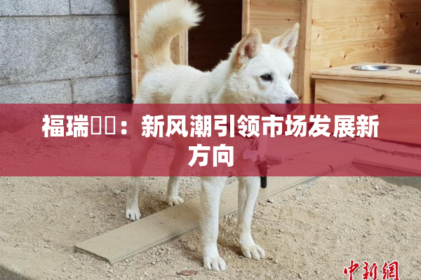 福瑞涊涊：新风潮引领市场发展新方向