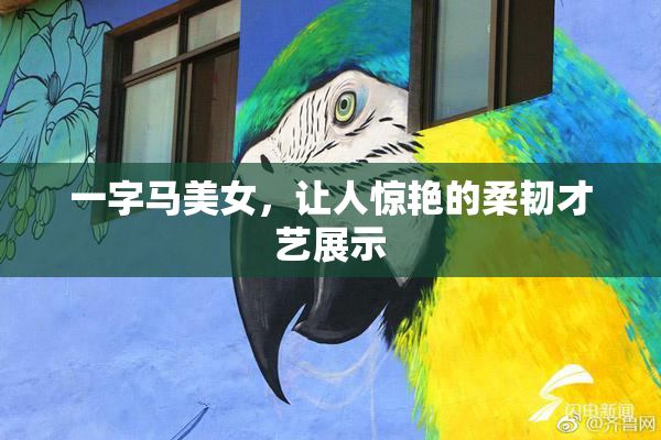 一字马美女，让人惊艳的柔韧才艺展示