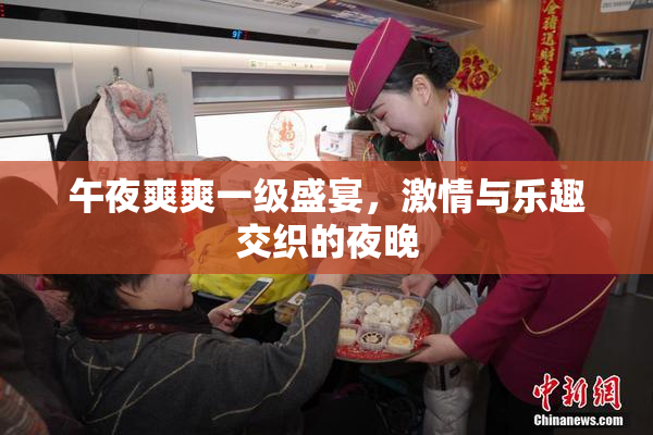 午夜爽爽一级盛宴，激情与乐趣交织的夜晚