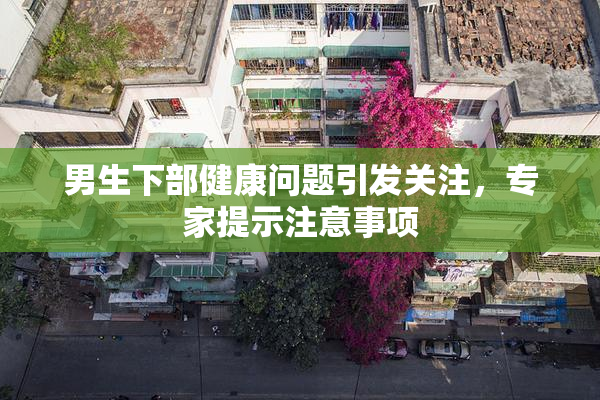 男生下部健康问题引发关注，专家提示注意事项