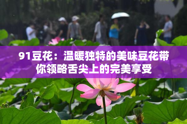 91豆花：温暖独特的美味豆花带你领略舌尖上的完美享受