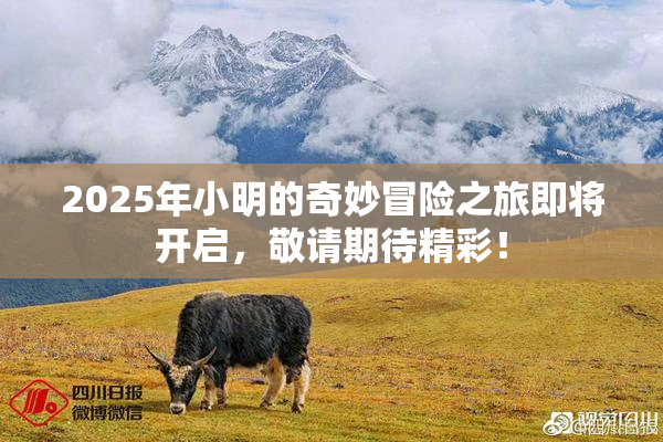 2025年小明的奇妙冒险之旅即将开启，敬请期待精彩！