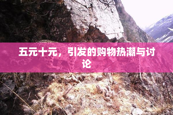 五元十元，引发的购物热潮与讨论