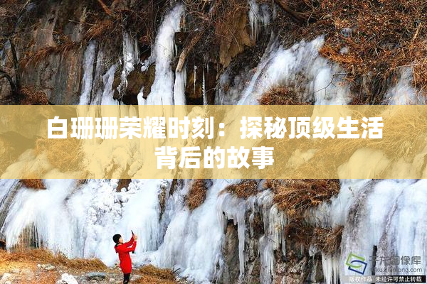 白珊珊荣耀时刻：探秘顶级生活背后的故事