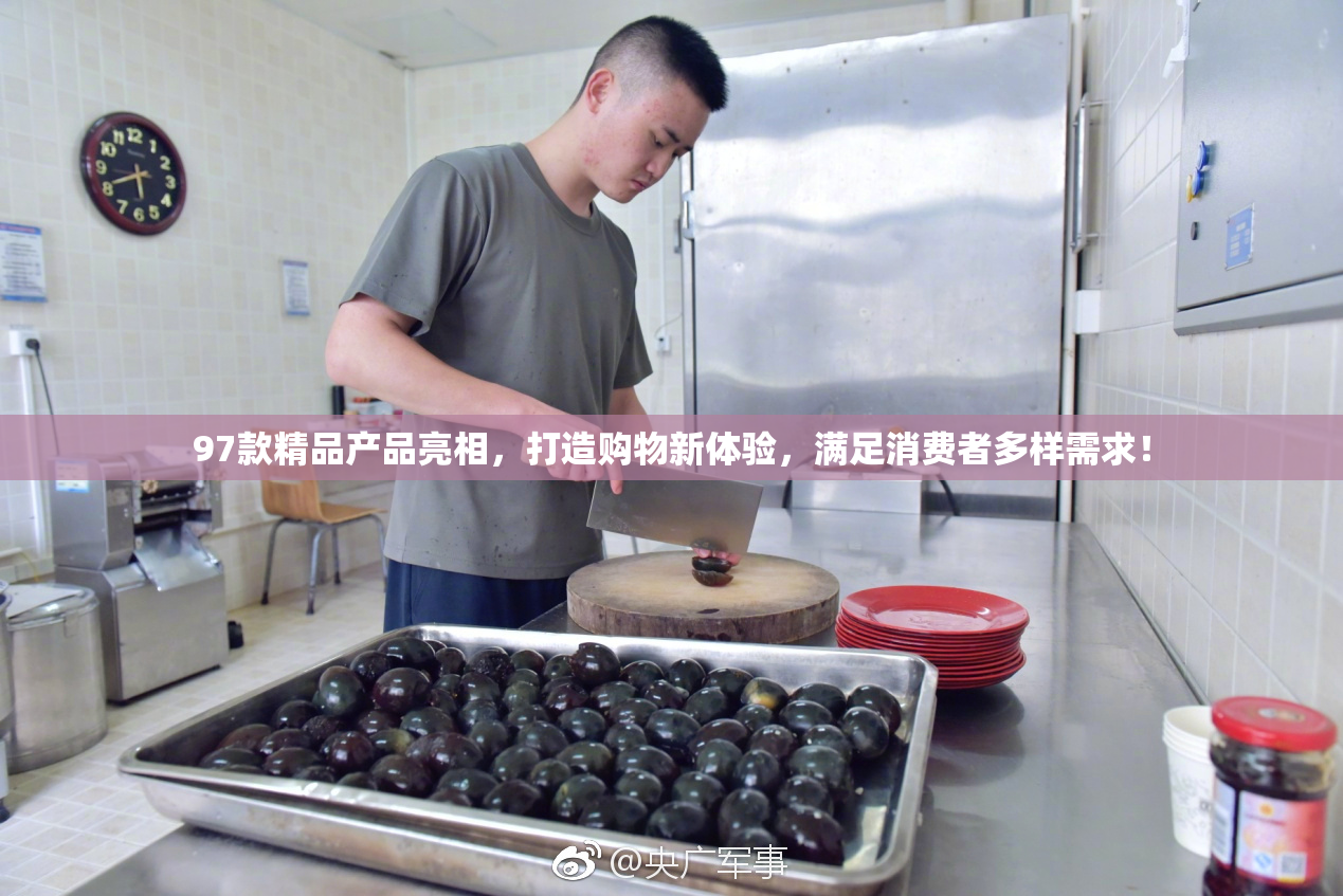 97款精品产品亮相，打造购物新体验，满足消费者多样需求！