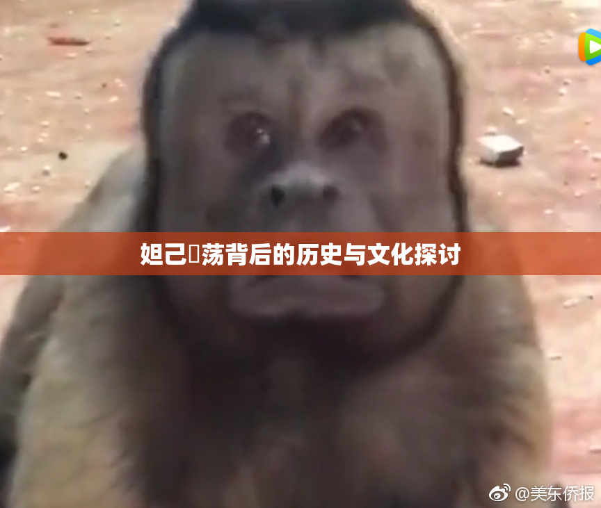 妲己婬荡背后的历史与文化探讨