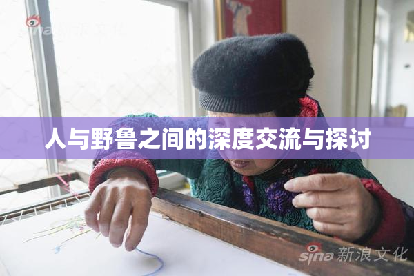 人与野鲁之间的深度交流与探讨