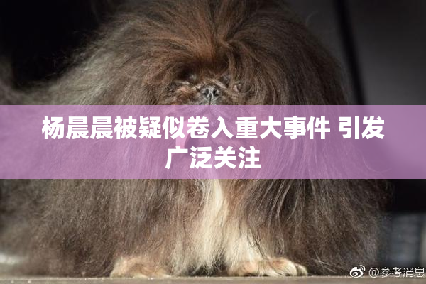 杨晨晨被疑似卷入重大事件 引发广泛关注
