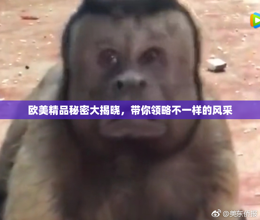 欧美精品秘密大揭晓，带你领略不一样的风采