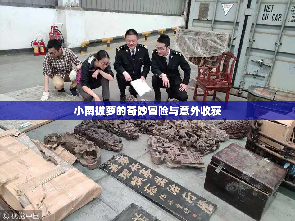 小南拔萝的奇妙冒险与意外收获