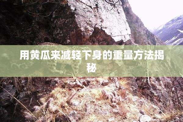 用黄瓜来减轻下身的重量方法揭秘