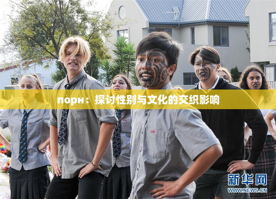 порн：探讨性别与文化的交织影响