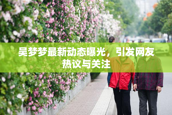 吴梦梦最新动态曝光，引发网友热议与关注