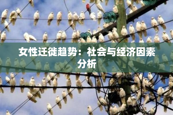 女性迁徙趋势：社会与经济因素分析