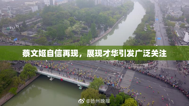 蔡文姬自信再现，展现才华引发广泛关注