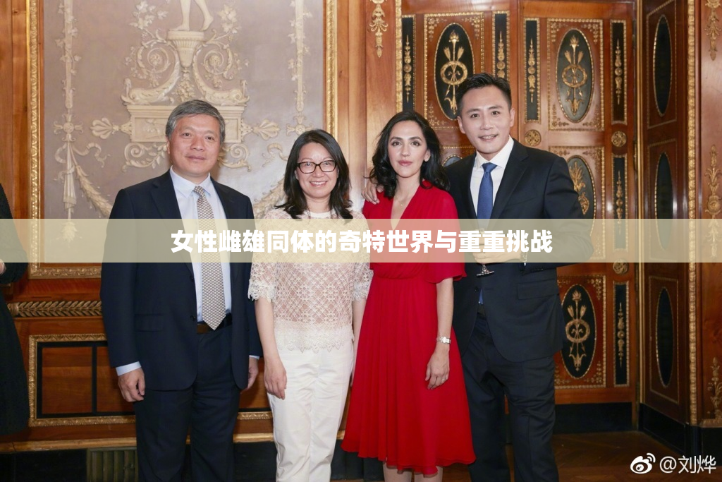 女性雌雄同体的奇特世界与重重挑战