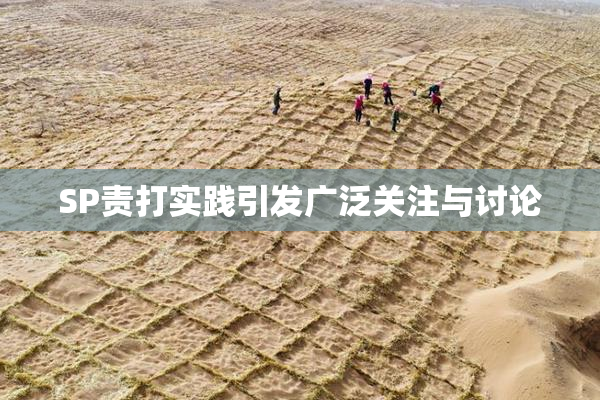 SP责打实践引发广泛关注与讨论