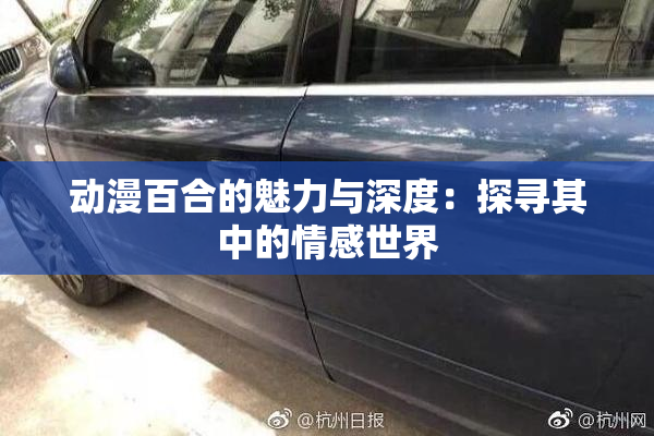 动漫百合的魅力与深度：探寻其中的情感世界