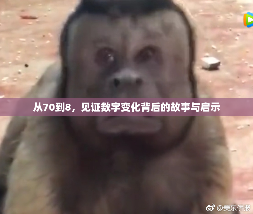 从70到8，见证数字变化背后的故事与启示