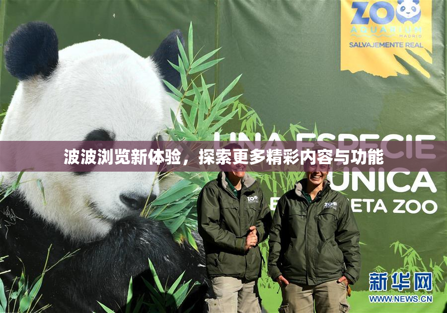 波波浏览新体验，探索更多精彩内容与功能