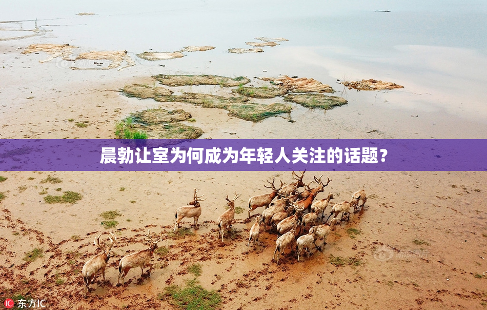 晨勃让室为何成为年轻人关注的话题？