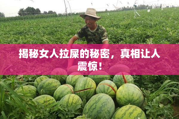 揭秘女人拉屎的秘密，真相让人震惊！
