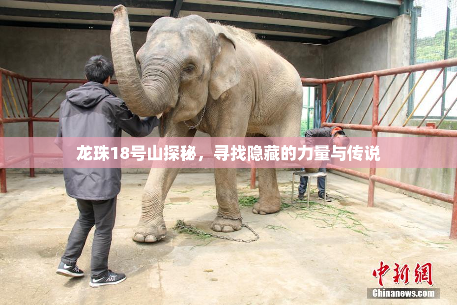 龙珠18号山探秘，寻找隐藏的力量与传说