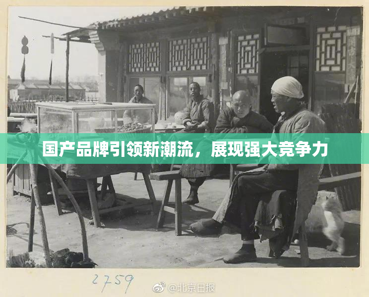 国产品牌引领新潮流，展现强大竞争力
