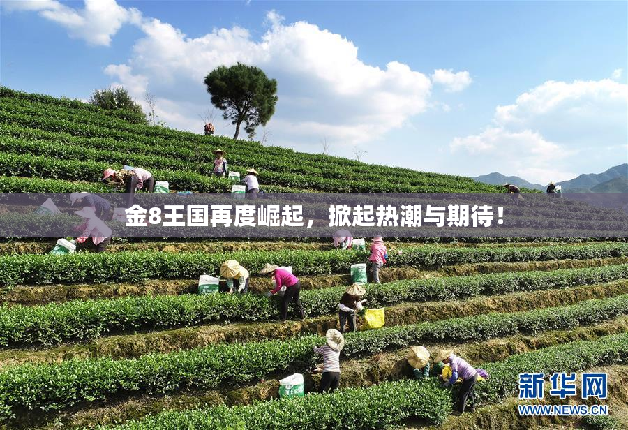 金8王国再度崛起，掀起热潮与期待！