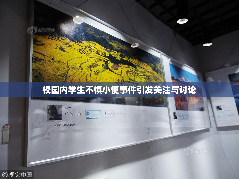 校园内学生不慎小便事件引发关注与讨论