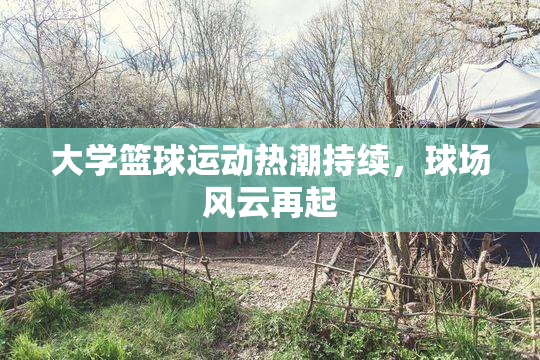 大学篮球运动热潮持续，球场风云再起