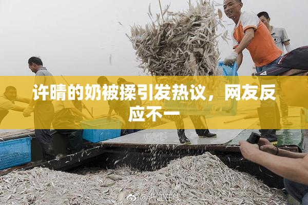许晴的奶被揉引发热议，网友反应不一