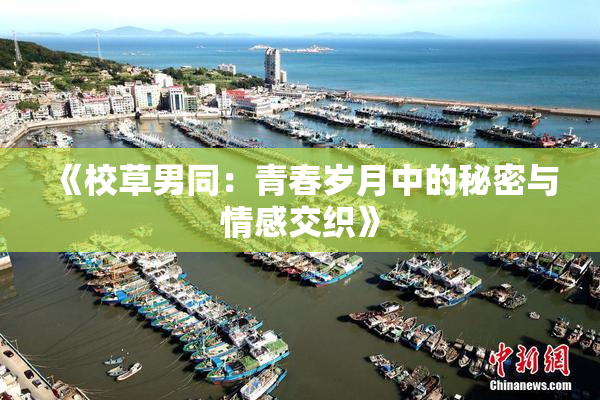 《校草男同：青春岁月中的秘密与情感交织》