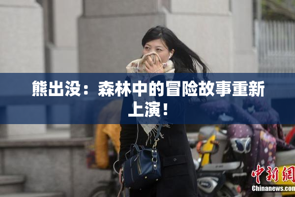 熊出没：森林中的冒险故事重新上演！