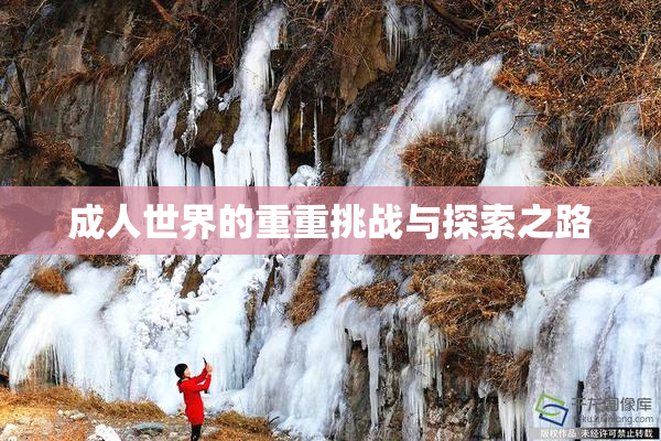 成人世界的重重挑战与探索之路