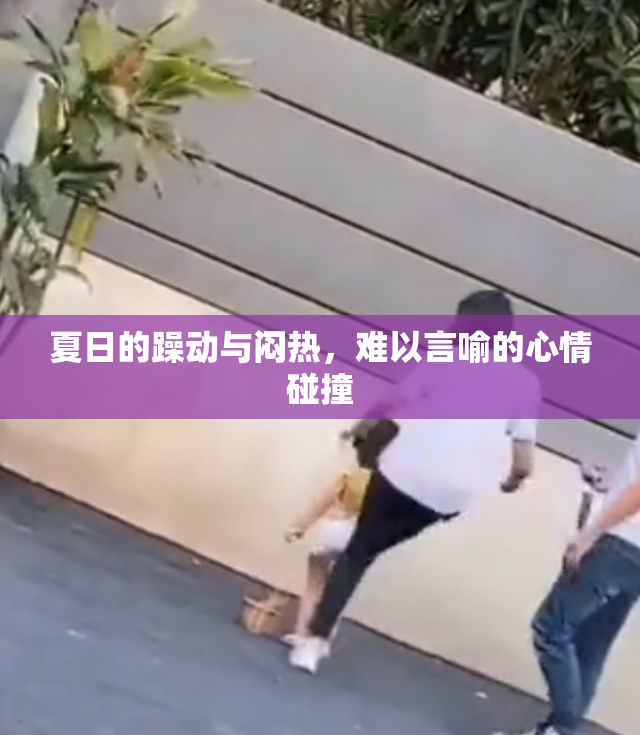 夏日的躁动与闷热，难以言喻的心情碰撞