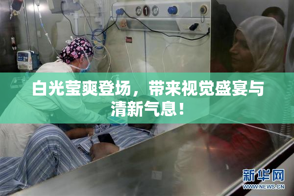 白光莹爽登场，带来视觉盛宴与清新气息！