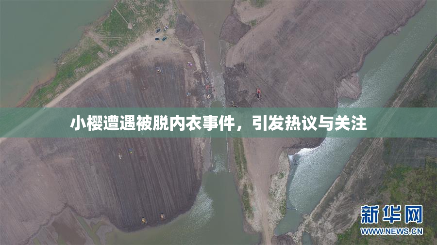 小樱遭遇被脱内衣事件，引发热议与关注