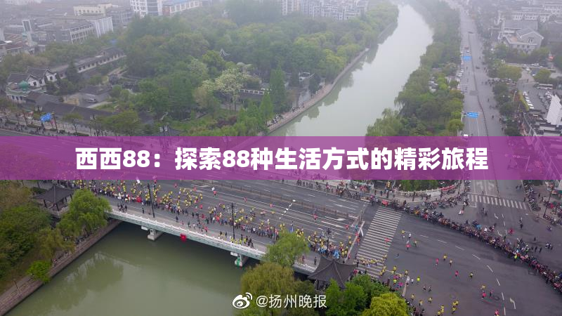 西西88：探索88种生活方式的精彩旅程