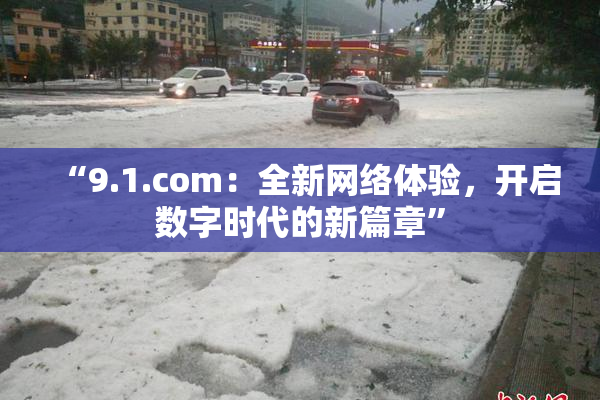 “9.1.com：全新网络体验，开启数字时代的新篇章”