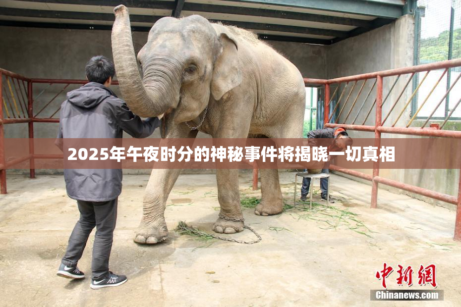 2025年午夜时分的神秘事件将揭晓一切真相