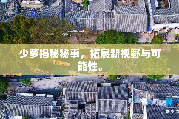 少萝揭秘秘事，拓展新视野与可能性。