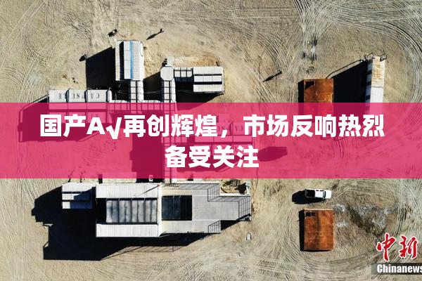 国产A√再创辉煌，市场反响热烈备受关注