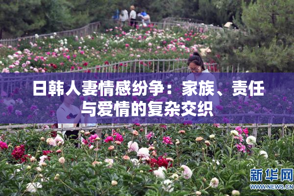 日韩人妻情感纷争：家族、责任与爱情的复杂交织