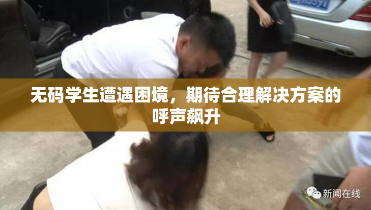 无码学生遭遇困境，期待合理解决方案的呼声飙升